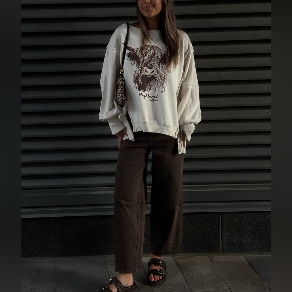 NWOT Free People We The Free Graphic Camden Pullover - highland cow combo - XS - Picture 6 of 11